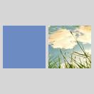 夜雨 icon