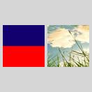 人生而孤独 icon