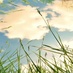 让我来讲故事给你们听 icon